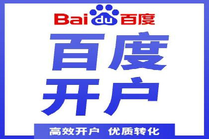 SEM广告投放的精准定位与优化案例